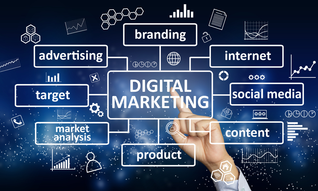 Digital Marketing Expert Rajasthan